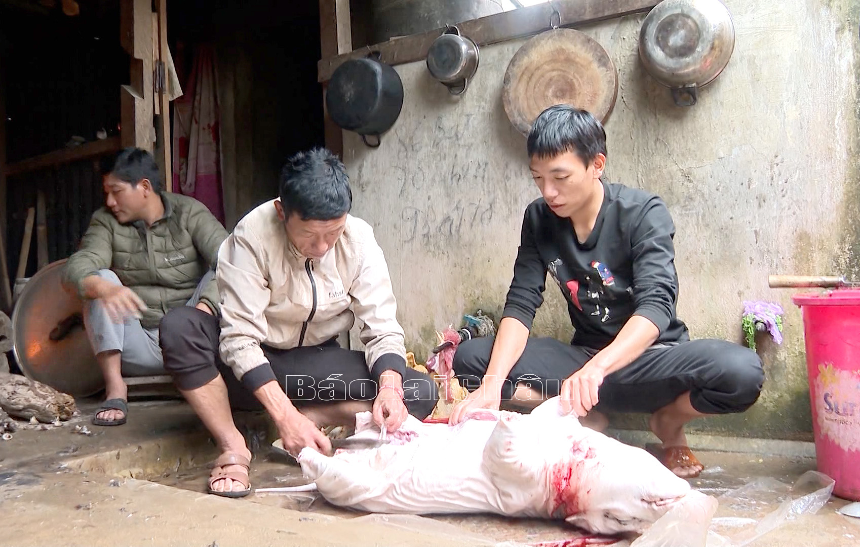 Nhà nào mổ lợn trong ngày đầu tiên năm mới xong sớm thì năm đó làm ăn có nhiều may mắn.